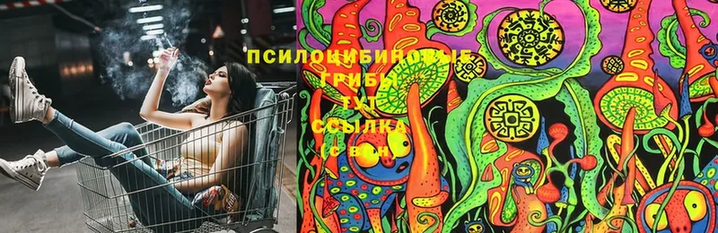 Псилоцибиновые грибы Magic Shrooms  Белинский 